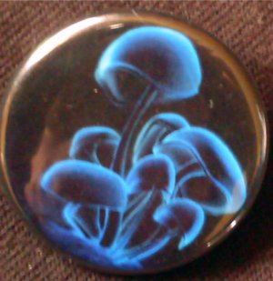 1 BLUE SHROOMS pinback button badge 1.25"