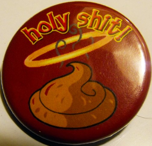 HOLY SHIT! pinback button badge 1.25"
