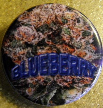MARIJUANA BLUEBERRY pinback button badge 1.25"