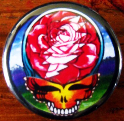 GRATEFUL DEAD - SCARLET BEGONIAS pinback button badge 1.25"