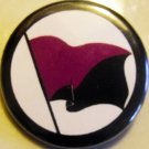 ANARCHO-FEMINIST FLAG pinback button badge 1.25"