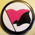 ANARCHO-QUEER FLAG pinback button badge 1.25"