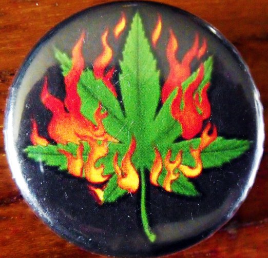 FLAMING MARIJUANA LEAF pinback button badge 1.25"