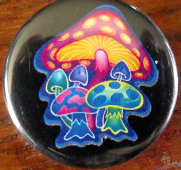 MYSTICAL MUSHROOMS pinback button badge 1.25"