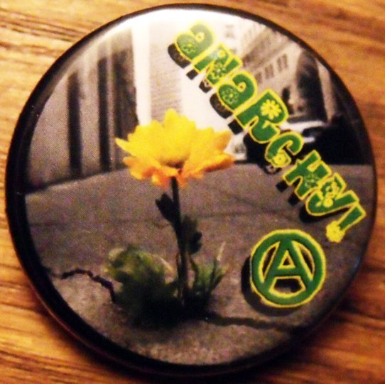 ANARCHY FLOWER IN CONCRETE pinback button badge 1.25"