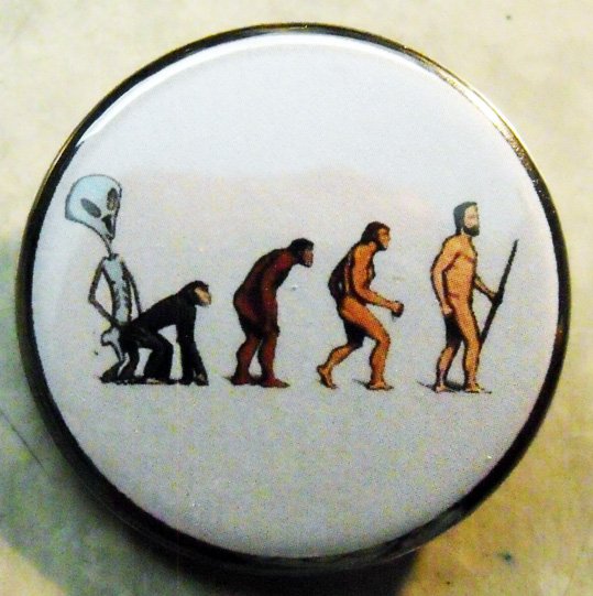 EVOLUTION pinback button badge 1.25"