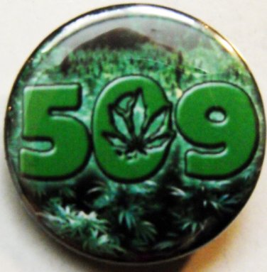 509 MARIJUANA FIELD pinback button badge 1.25"