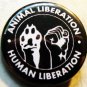 ANIMAL LIBERATION HUMAN LIBERATION pinback button badge 1.25"