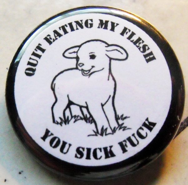 QUIT EATING MY FLESH YOU SICK FUCK pinback button badge 1.25"