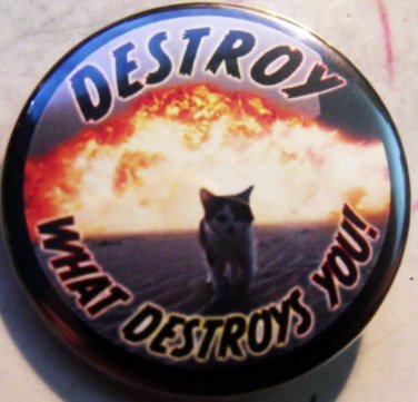 DESTROY WHAT DESTROYS YOU - KITTY pinback button badge 1.25"