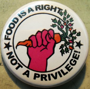 FOOD IS A RIGHT NOT A PRIVILEGE! - FOOD NOT BOMBS   pinback button badge 1.25"