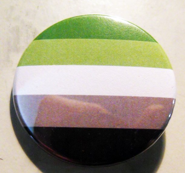 Aromantic pinback button badge 1.25"