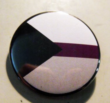DEMISEXUAL pinback button badge 1.25"