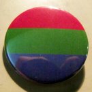 POLYSEXUAL pinback button badge 1.25"