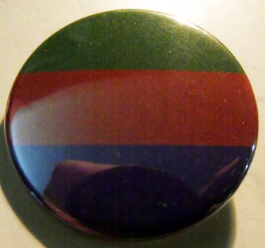 SAPIOSEXUAL pinback button badge 1.25"