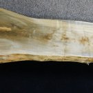 Fiddleback Figured Nakashima Style Maple Finished Bench Lumber Furniture 10072