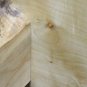 Highly Fiddleback Figured Blue Spalted Maple Bench/Coffee Table Lumber Furniture 10077
