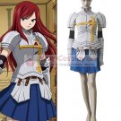 Fairy Tail Erza Scarlet Custom-made anime Cosplay Costumes