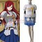 Fairy Tail Erza Scarlet Custom-made anime Cosplay Costumes