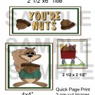 You're Nuts qp -  Emailed as JPEG File-Commercial and Personal Use