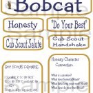 Bobcat uc  -  Emailed as JPEG File-Commercial and Personal Use