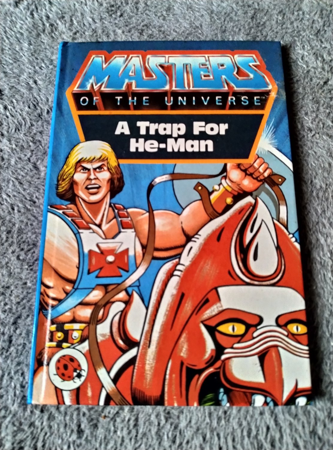 A Trap for He-man (Book)