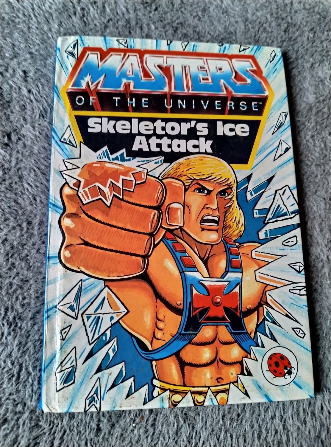 Skeletor's Ice Attack (Book)