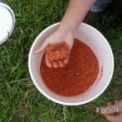 Soybean bait