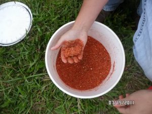 Soybean bait