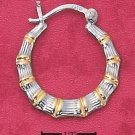TWO-TONE HOOPS (EA-1921)