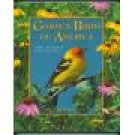 Garden Birds Of America ~ George H Harrison ~ Hardcover ~ Mint Copy ~ Willow Creek Press