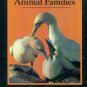 Animal Families ~ Books for Young Explorers ~ National Geographic Society