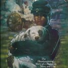 Dog Jack Florence W Biros Heartwarming Story of a Runaway Slave and His Best Friend location28