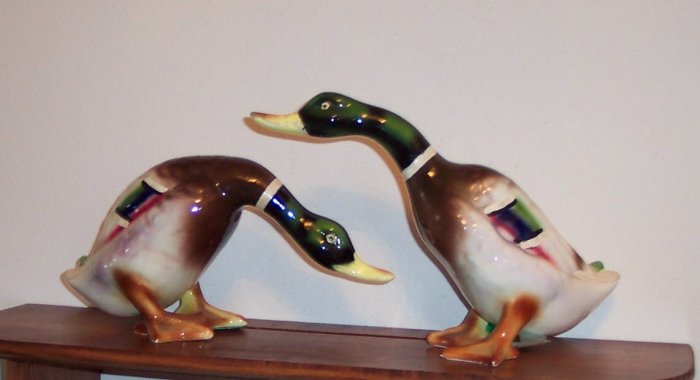 lefton duck