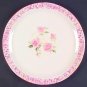 Pfaltzgraff 14" Chop Plate Round ~ Victoria Park ~ Retired Dinnerware Dishes location33