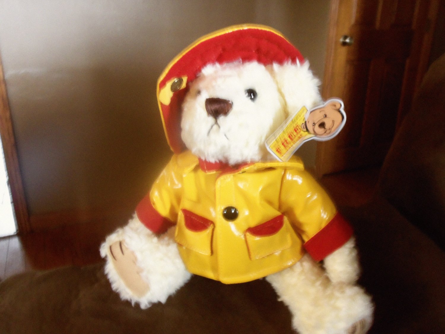 raincoat teddy bear