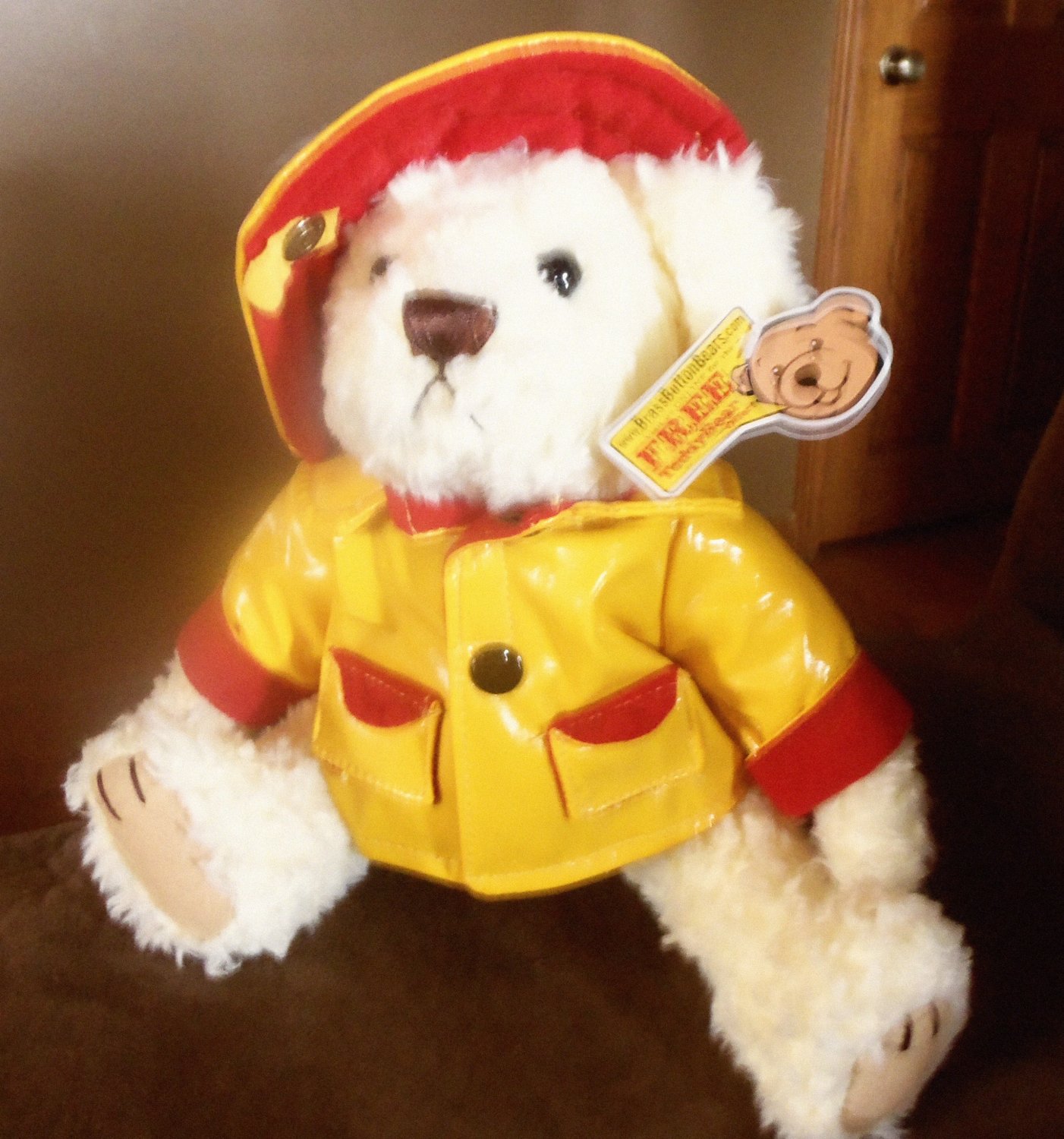 toy story raincoat