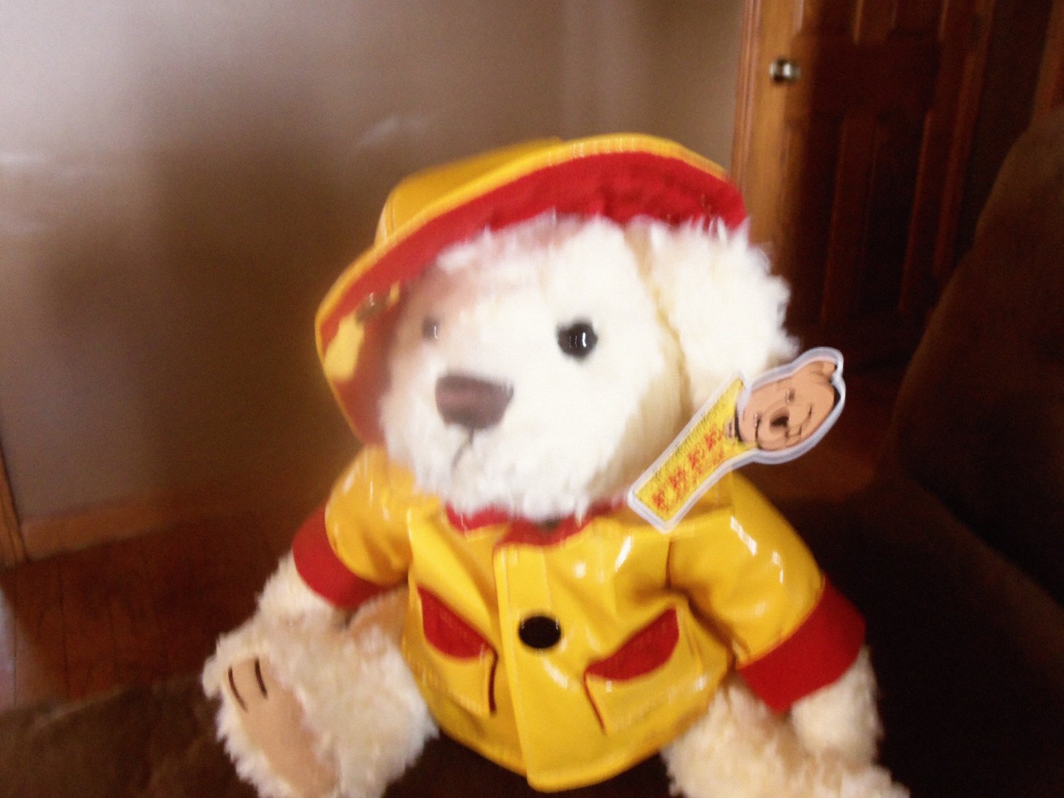 raincoat teddy bear