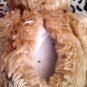 Rare WellMark Door Chime Teddy Well Creations LTD Stuffed Animal Plush Toy location26