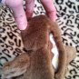 Small Sweet Build a Bear Teddy Bear Hasbro Stuffed Animal Plush Toy location26
