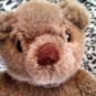 Small Sweet Build a Bear Teddy Bear Hasbro Stuffed Animal Plush Toy location26