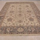 9x12 RUG PERSIAN VEGETABLE DYE GHAZNI WOOL IVORY GRAY