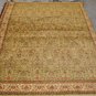 10x13 GARDEN GREEN IVORY BROWN RUG SHAW KATHY IRELAND HOME 3V176/04300 NYLON NEW