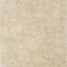 SHAG 5x8 AREA RUG SOLID IVORY HANDMADE TUFTED SOFT NEW