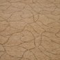 10x14 WOOL AREA RUG HANDMADE MODERN BEIGE KNOTTED TRANS