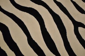 8x11 Machine Made Rug Black White Zebra Pattern