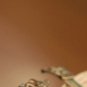 SteamPunk Vintage Handcrafted Watches "DEMETER VINTAGE"