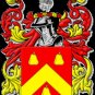 ABBOTT Armorial Name History - Coat of Arms - Family Crest GIFT!