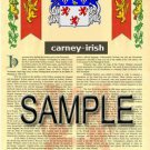 CARNEY - IRISH - Coat of Arms - Family Crest - Armorial GIFT! 8.5x11