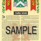 TULLY - IRISH - Armorial Name History - Coat of Arms - Family Crest GIFT! 8.5x11